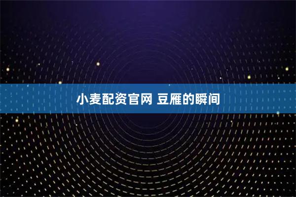 小麦配资官网 豆雁的瞬间