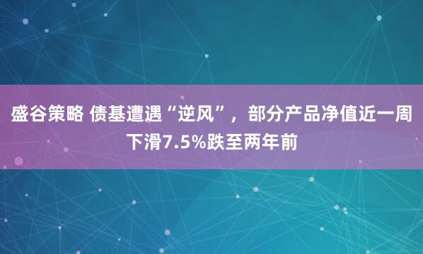 盛谷策略 债基遭遇“逆风”，部分产品净值近一周下滑7.5%跌至两年前